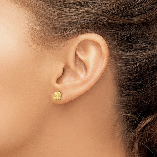 14K Yellow Gold Small 8mm Diam.-Cut Sand Dollar Stud Earrings- Sparkle & Jade-SparkleAndJade.com TC767