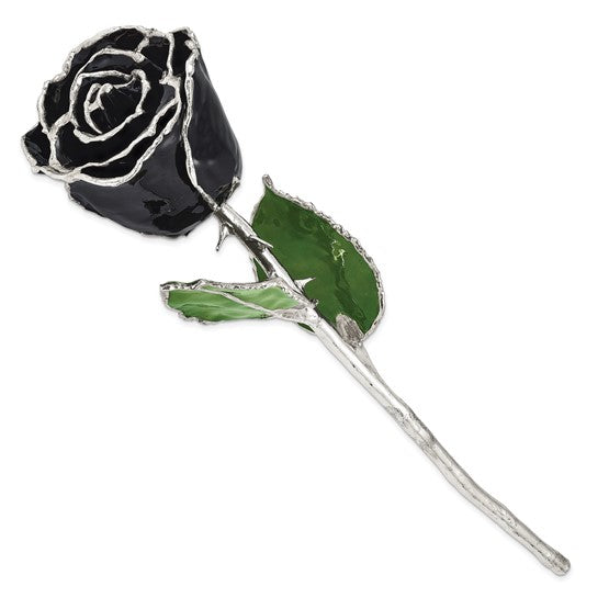 Lacquer Dipped Silver Trimmed Black Natural Preserved Rose- Sparkle & Jade-SparkleAndJade.com GM16750