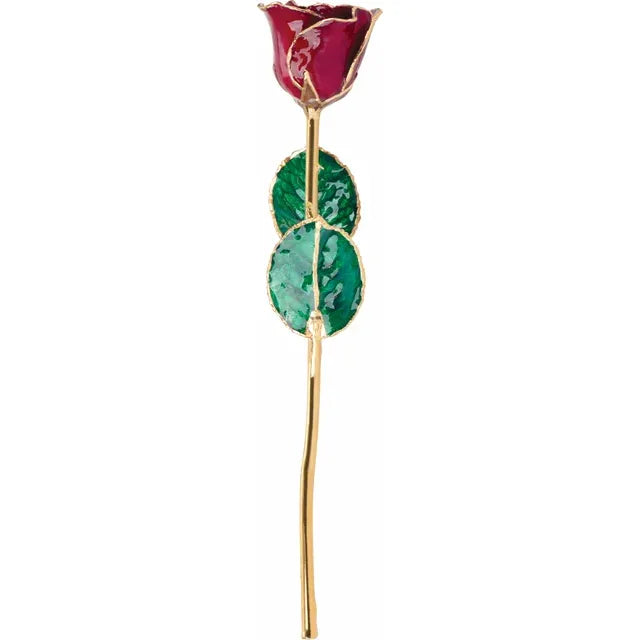 January Garnet Lacquered Birthstone Colored Rose with Gold Trim- Sparkle & Jade-SparkleAndJade.com 