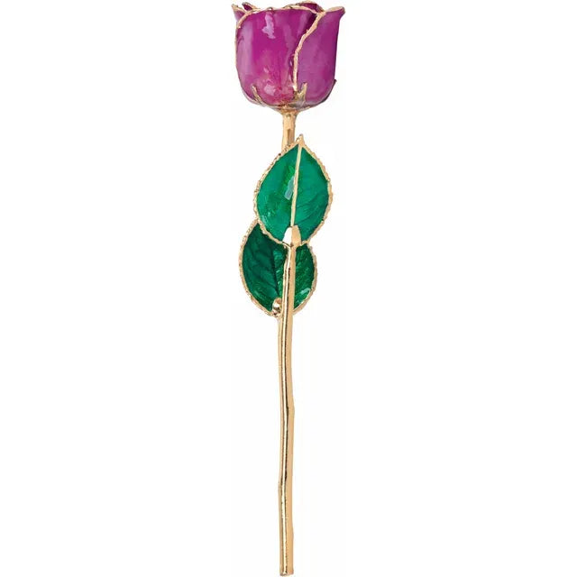 February Amethyst Colored Lacquered Birthstone Rose with Gold Trim- Sparkle & Jade-SparkleAndJade.com 