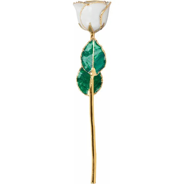 June Pearl Colored Lacquered Birthstone Rose with Gold Trim- Sparkle & Jade-SparkleAndJade.com 