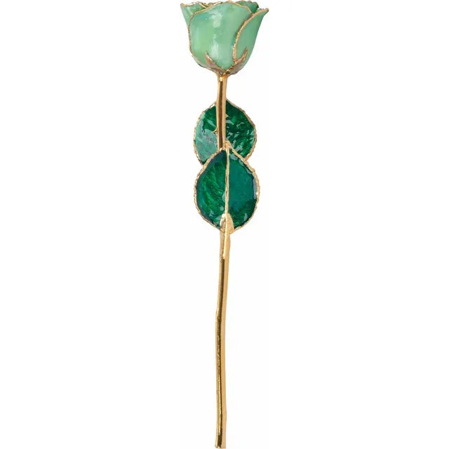 August Peridot Colored Lacquered Birthstone Rose with Gold Trim- Sparkle & Jade-SparkleAndJade.com 