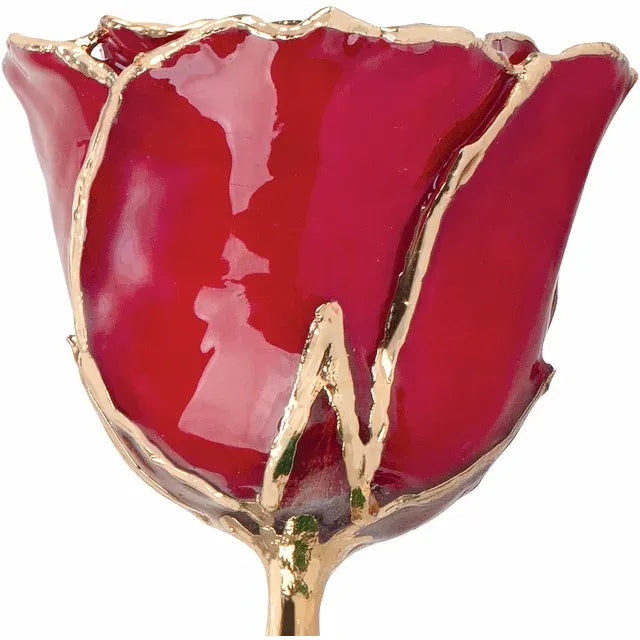July Ruby Colored Lacquered Birthstone Rose with Gold Trim- Sparkle & Jade-SparkleAndJade.com 