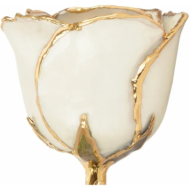 June Pearl Colored Lacquered Birthstone Rose with Gold Trim- Sparkle & Jade-SparkleAndJade.com 