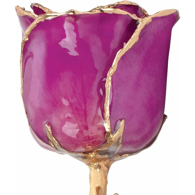 February Amethyst Colored Lacquered Birthstone Rose with Gold Trim- Sparkle & Jade-SparkleAndJade.com 