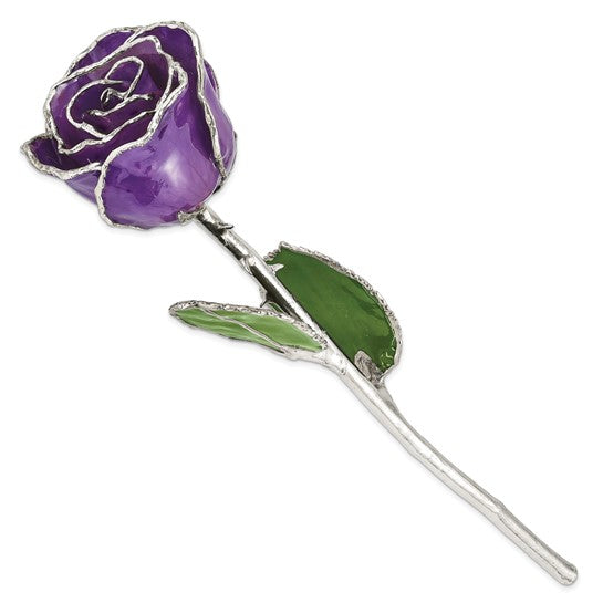 Lacquer Dipped Silver Trimmed Purple Natural Rose- Sparkle & Jade-SparkleAndJade.com GM16741