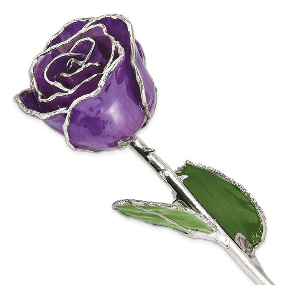 Lacquer Dipped Silver Trimmed Purple Natural Rose- Sparkle & Jade-SparkleAndJade.com GM16741