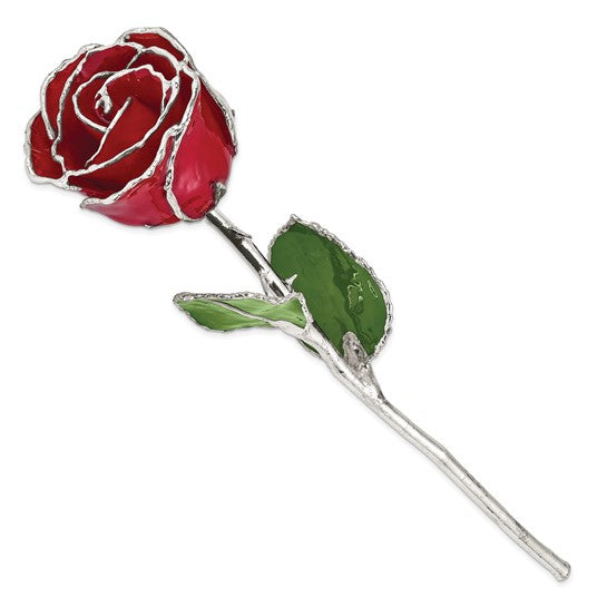 Lacquer Dipped Silver Trimmed Red Natural Rose- Sparkle & Jade-SparkleAndJade.com GM16743