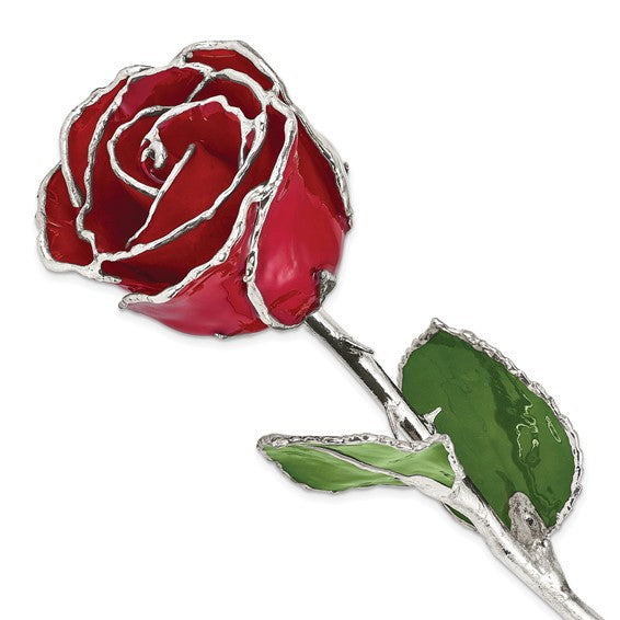 Lacquer Dipped Silver Trimmed Red Natural Rose- Sparkle & Jade-SparkleAndJade.com GM16743