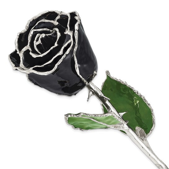 Lacquer Dipped Silver Trimmed Black Natural Preserved Rose- Sparkle & Jade-SparkleAndJade.com GM16750