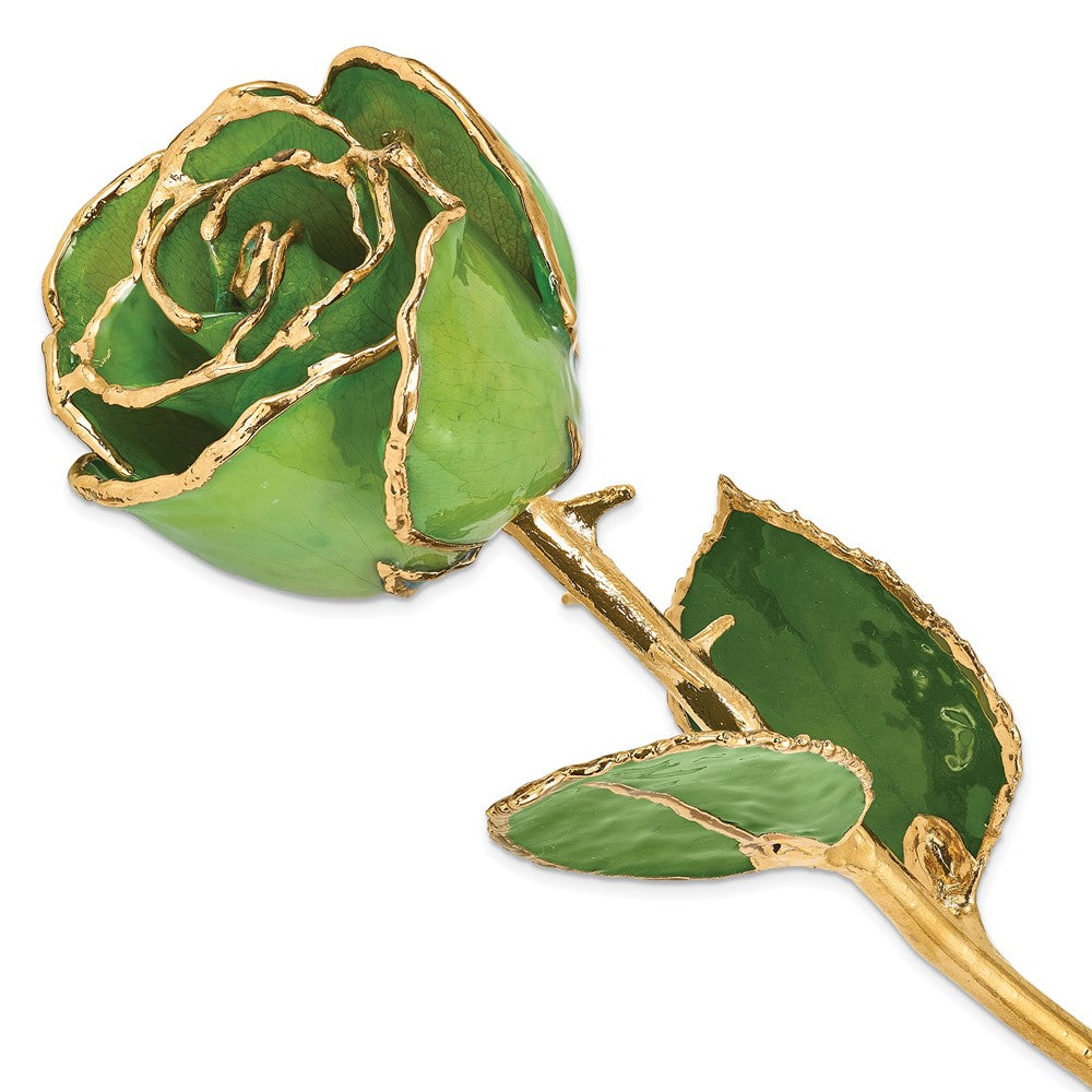 Lacquer Dipped Gold Trimmed Peridot / Topaz Real Rose- Sparkle & Jade-SparkleAndJade.com 