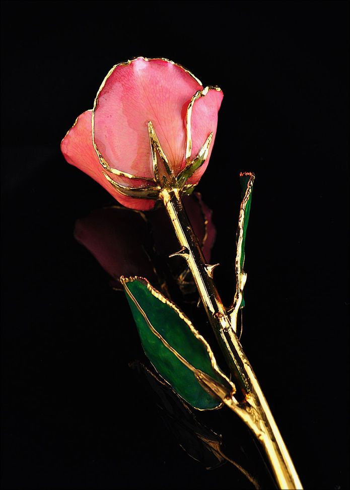 Lacquer Dipped 24k Gold Trim Pink Real Rose- Sparkle & Jade-SparkleAndJade.com GP9339 700PB
